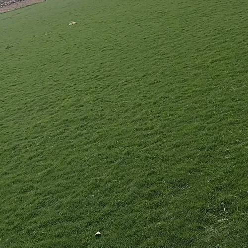 Artificial Cricket Pitch